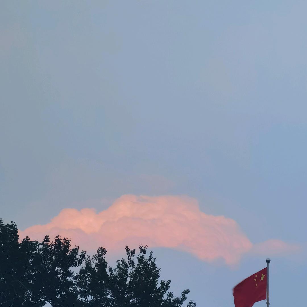 溜溜梅