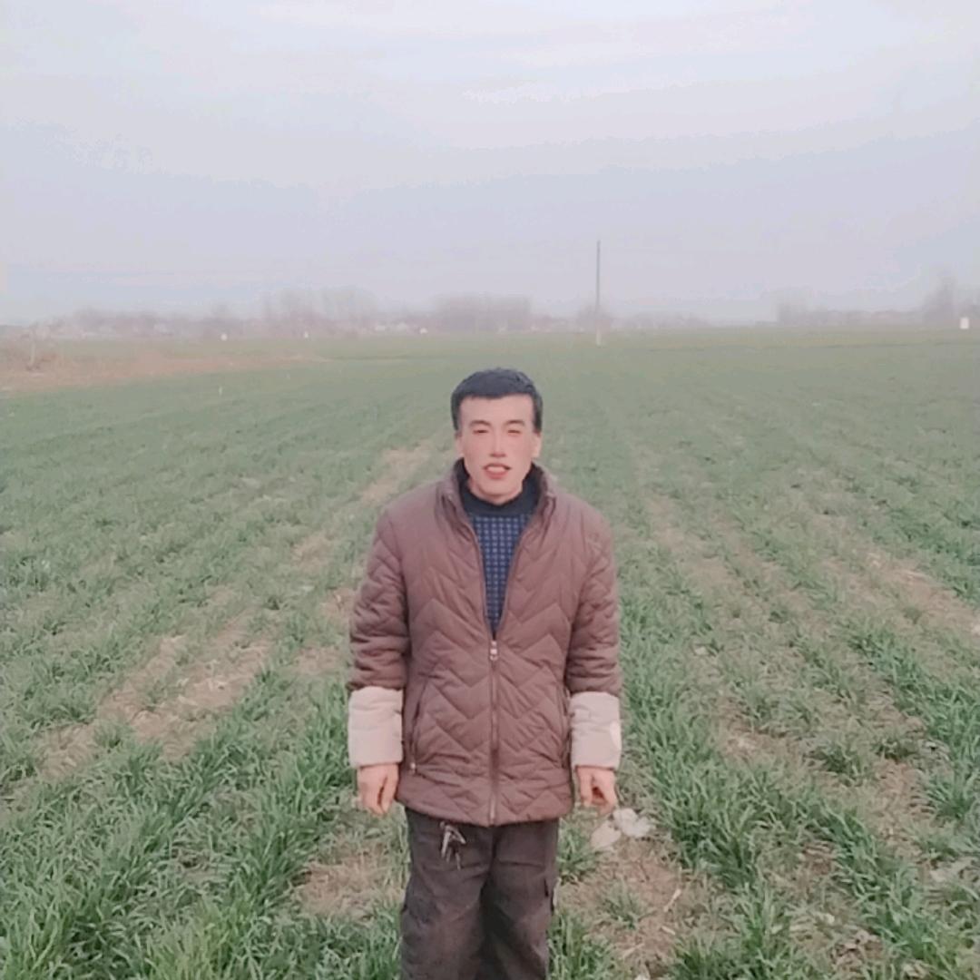 农村二哥