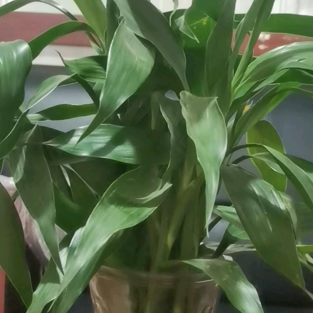 废品回收铁铜铝不锈钢