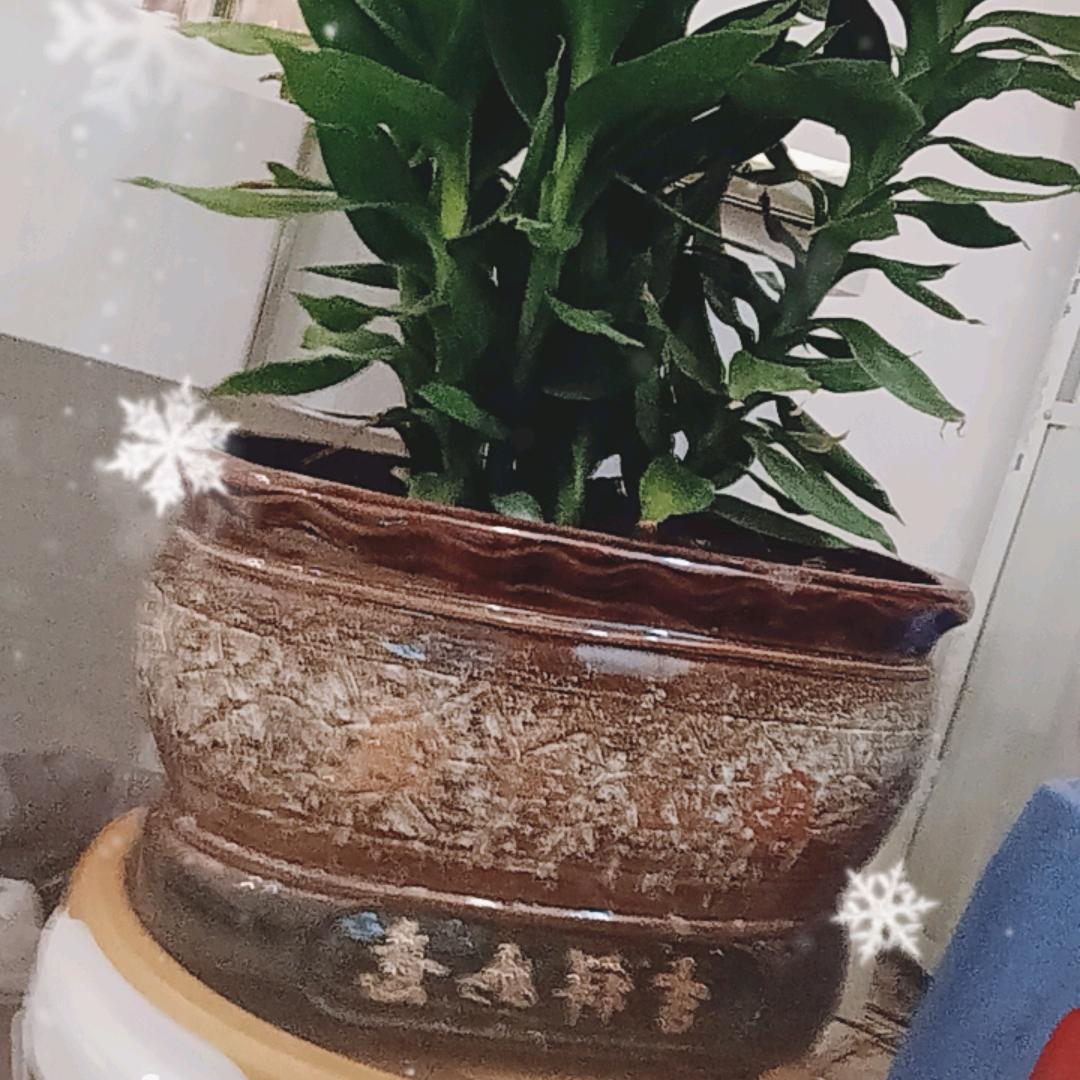以前总想着别人，现在就为自己活着