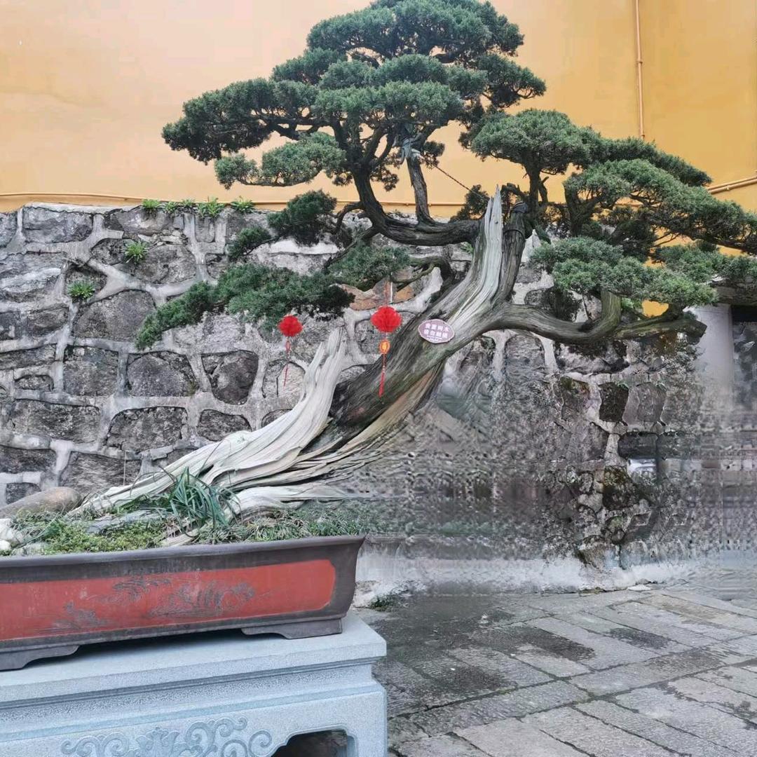 释然.