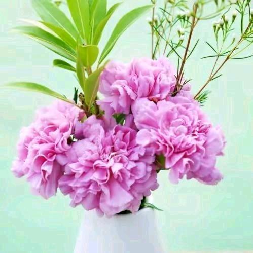 花好月圆