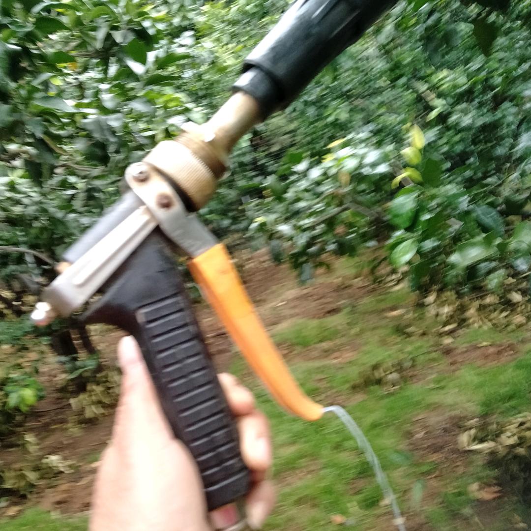 迷茫的自己