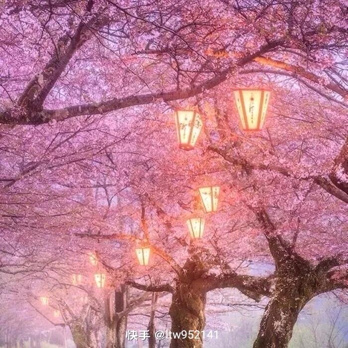 @遥远的山岗上