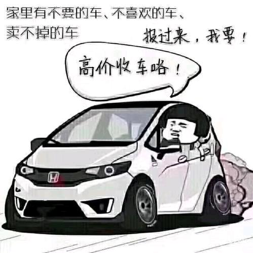 阿代车业 努尔精品二手车