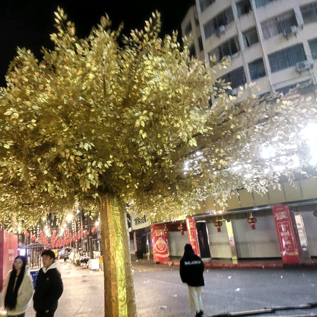 爱唱歌的老头【首播】