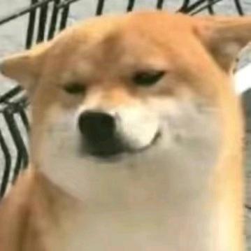 估计不能