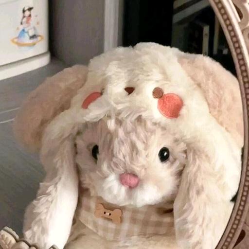 (˵¯͒〰¯͒˵)小米粒