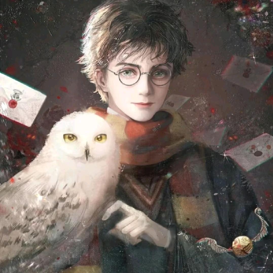 黑魔法假的哈利·波特