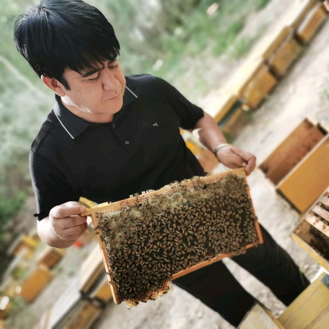 突玛热思