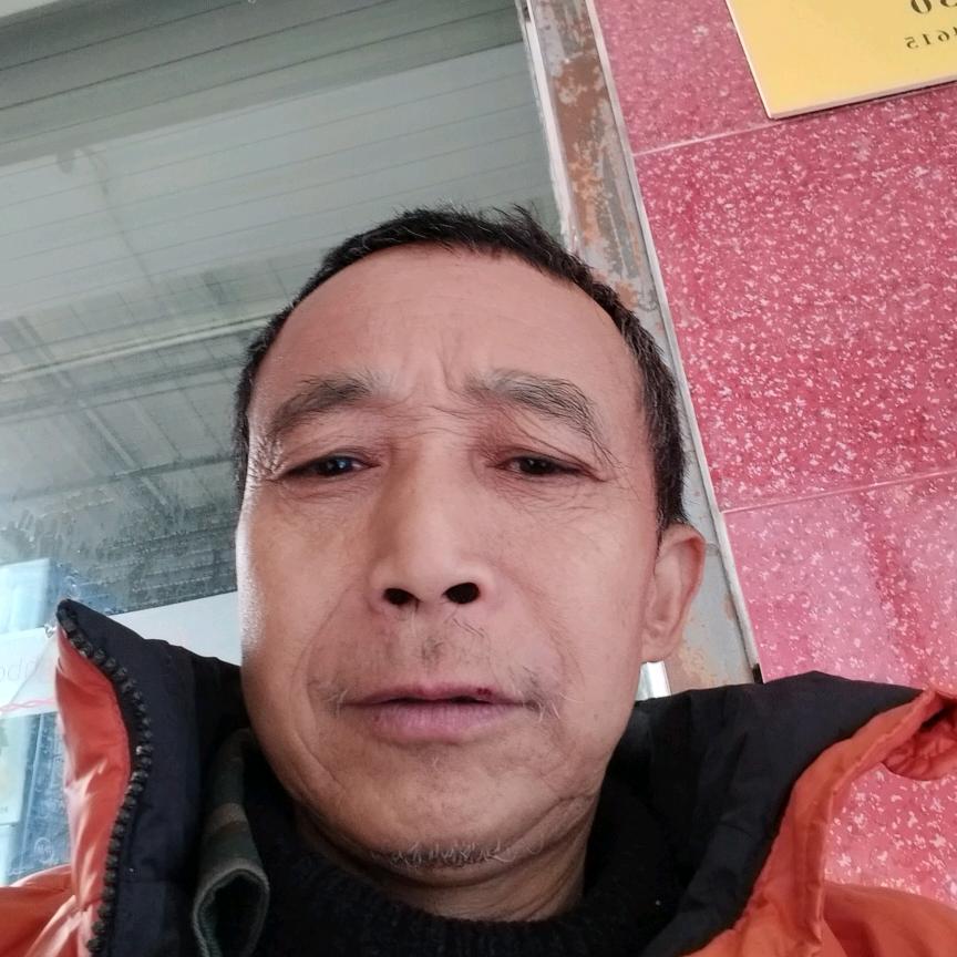 杨老杨