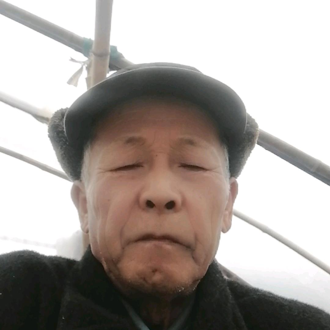 豫剧板胡徐其灵