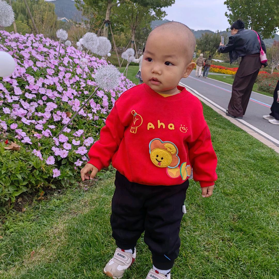 小草