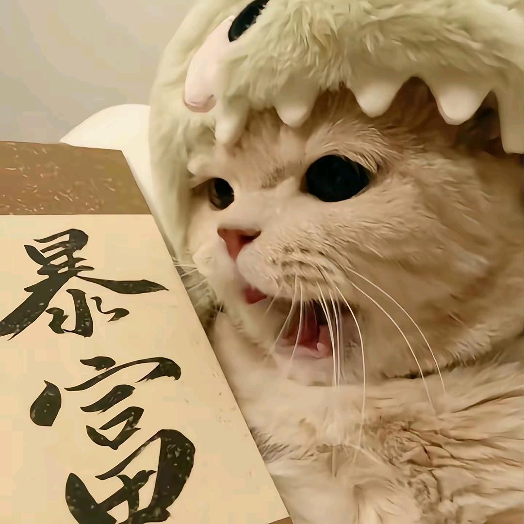 一直好困