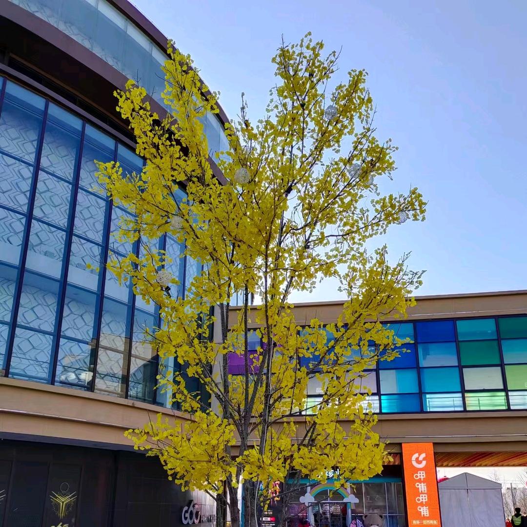 洪运当头(梁山泊)