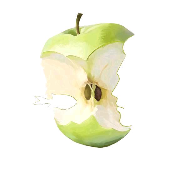 YiLoh（见过于适3次版）