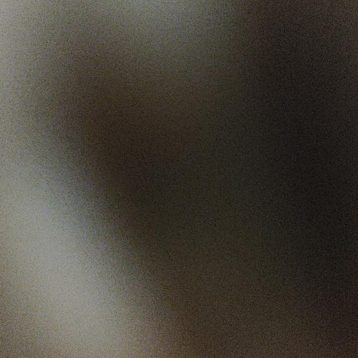 鸿