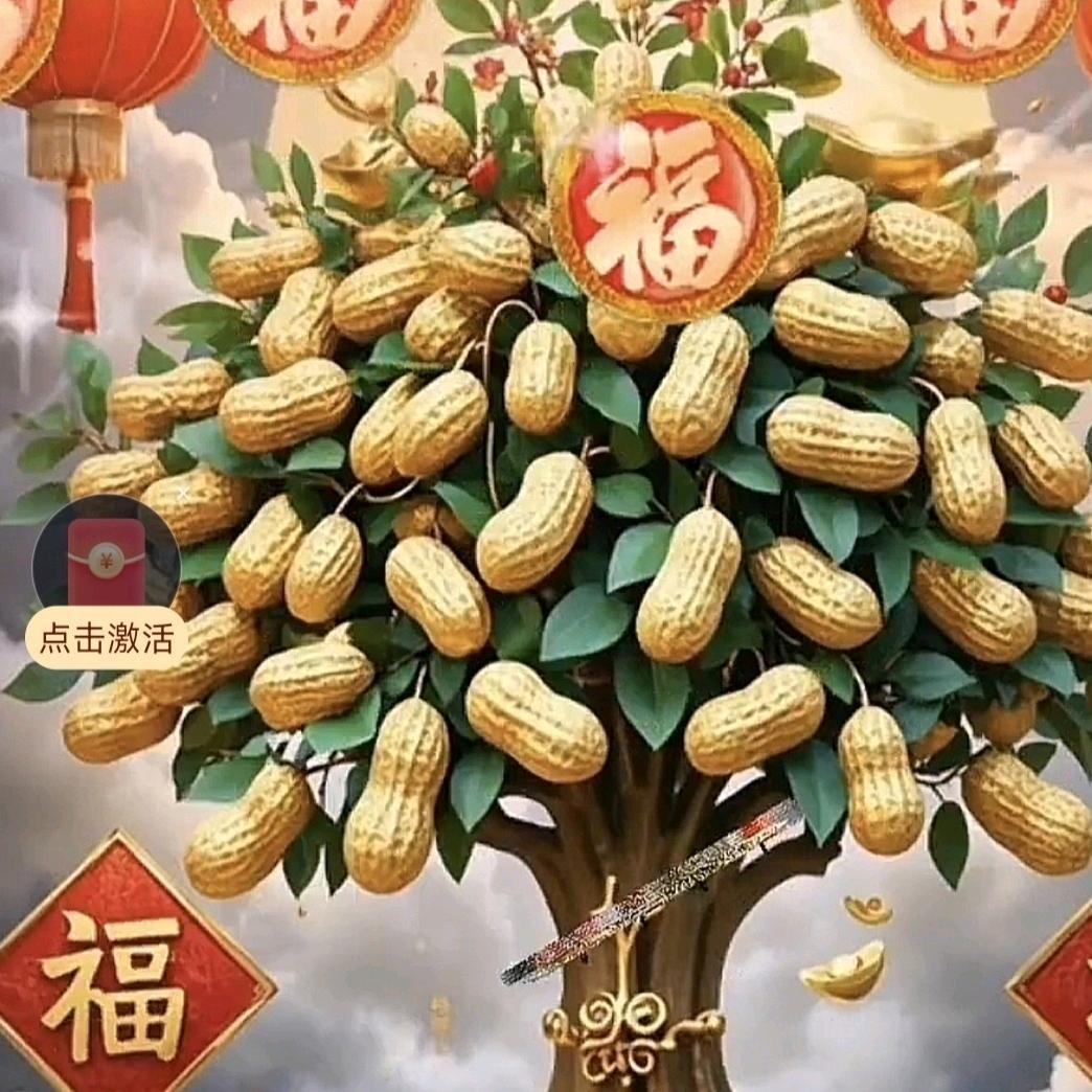 ❤️花花