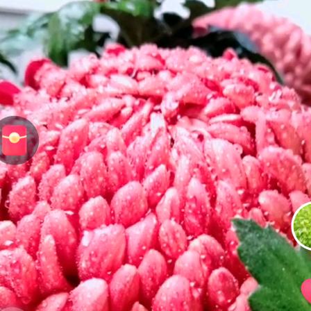 好运爆张