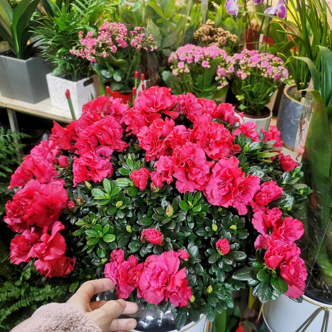 悦茹精品女装