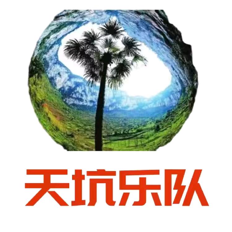 天坑乐队【申总】