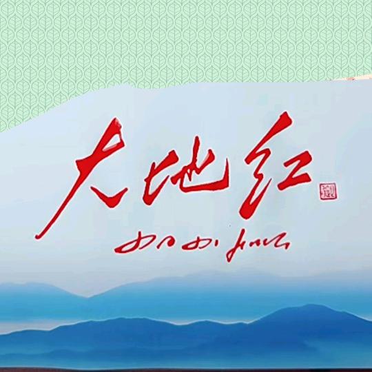 大地红粮油