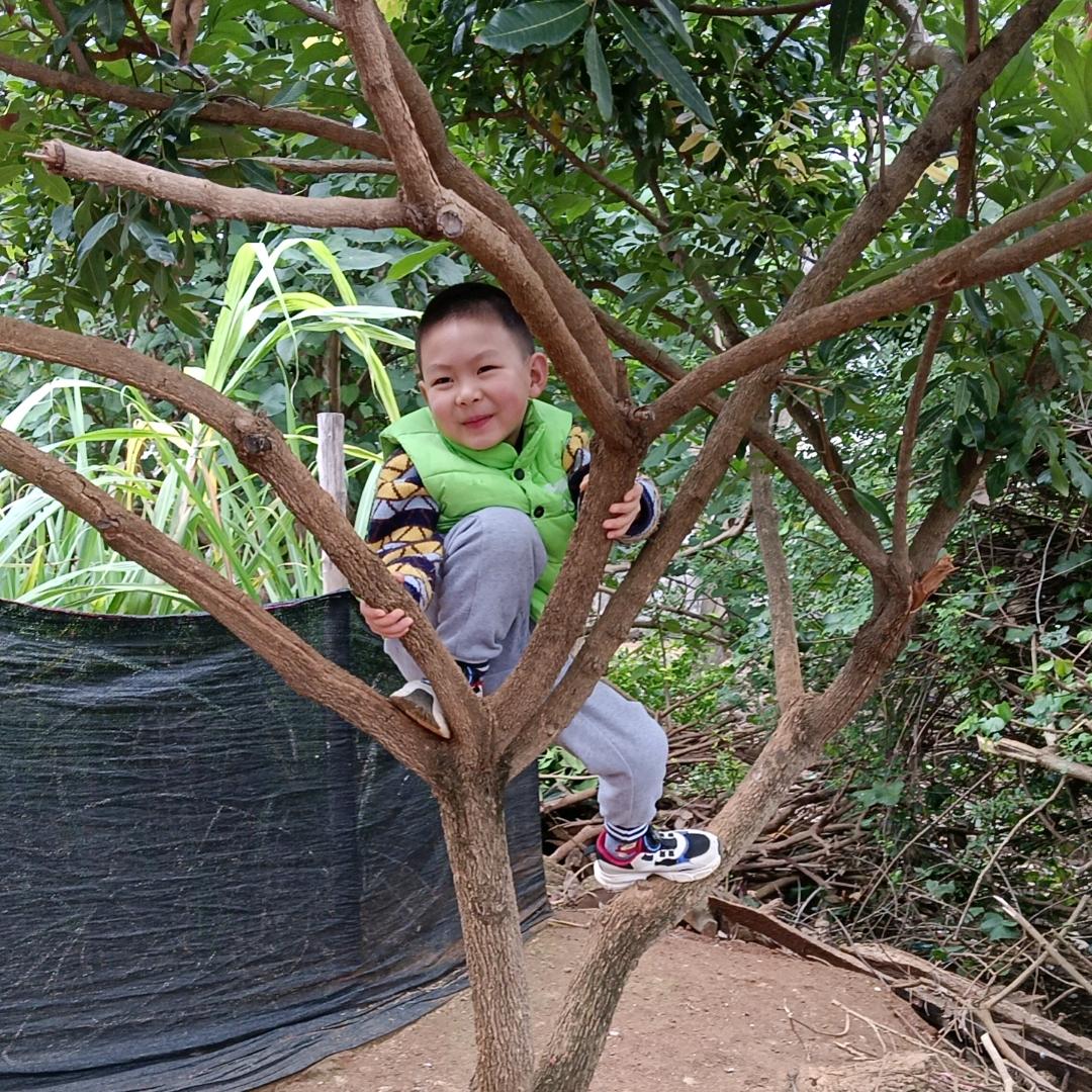 森歌集成灶-梁景