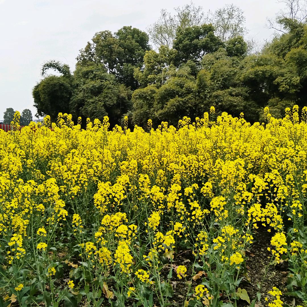 ←小优wyjkvcjkbcdtinvgu