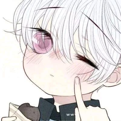 白黎