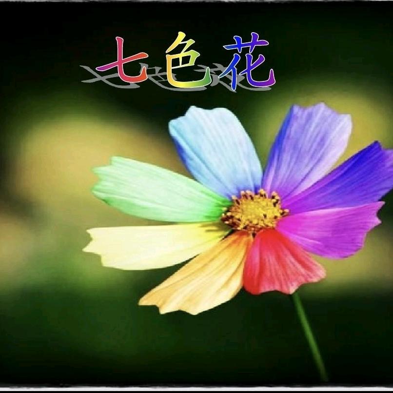 xiaoxi