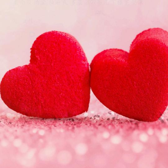 橙子🌟与阳光@