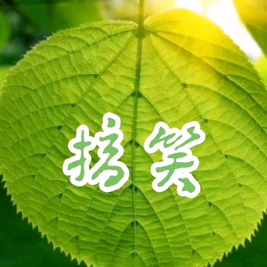 露水