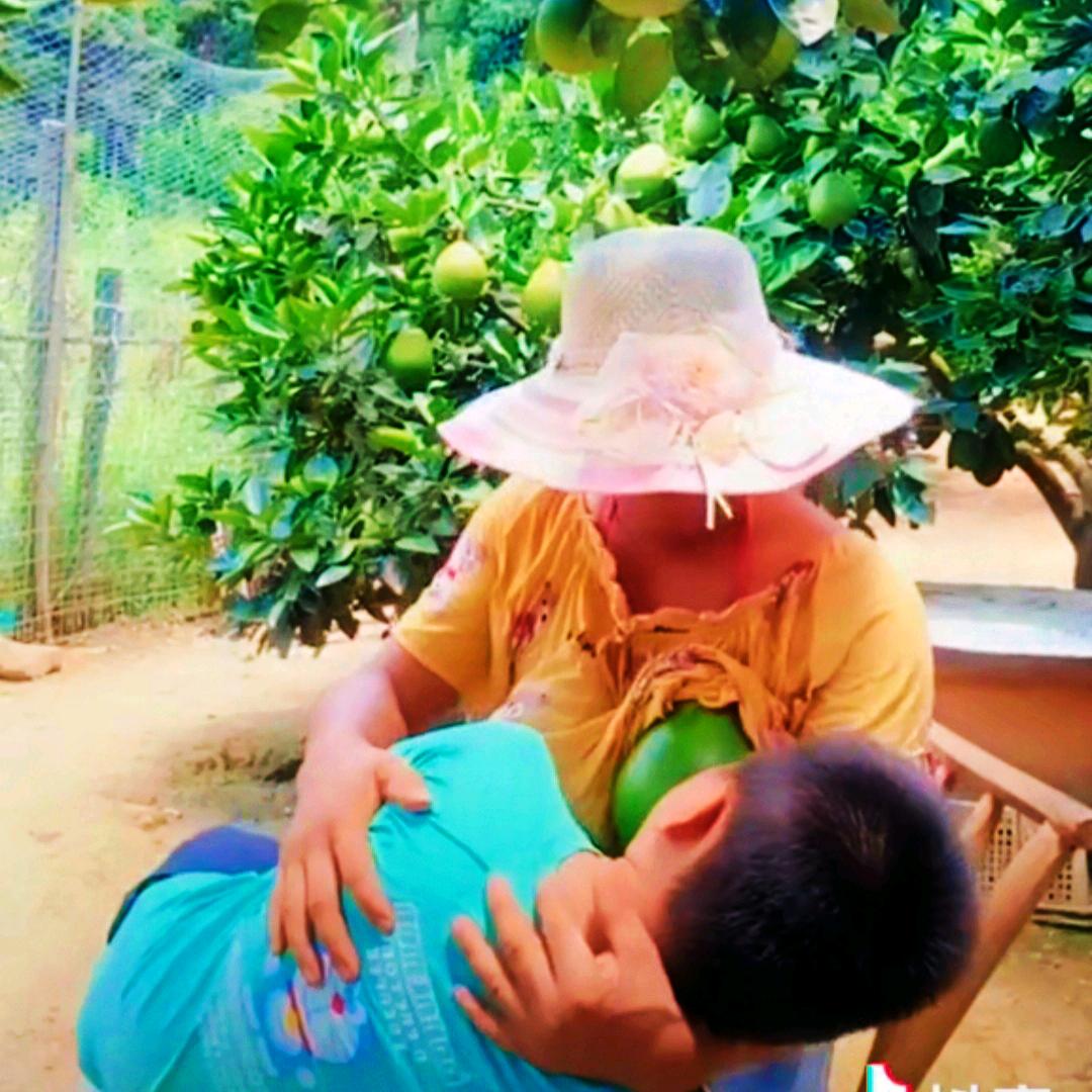 蜜柚歌