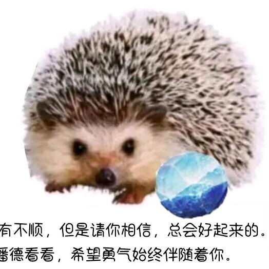 水哥
