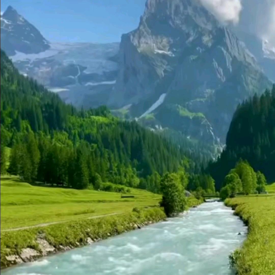 静若止水