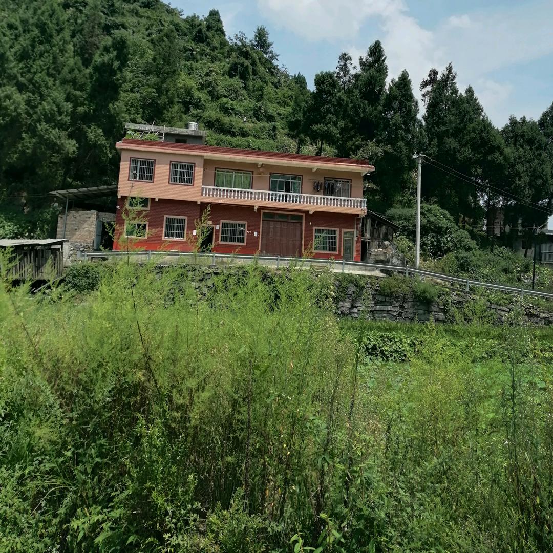 吴其书