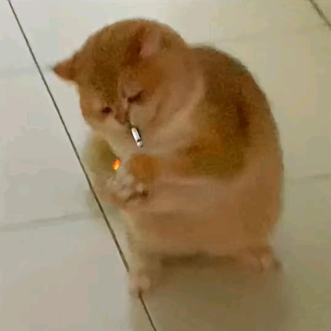 ㅤㅤ头像
