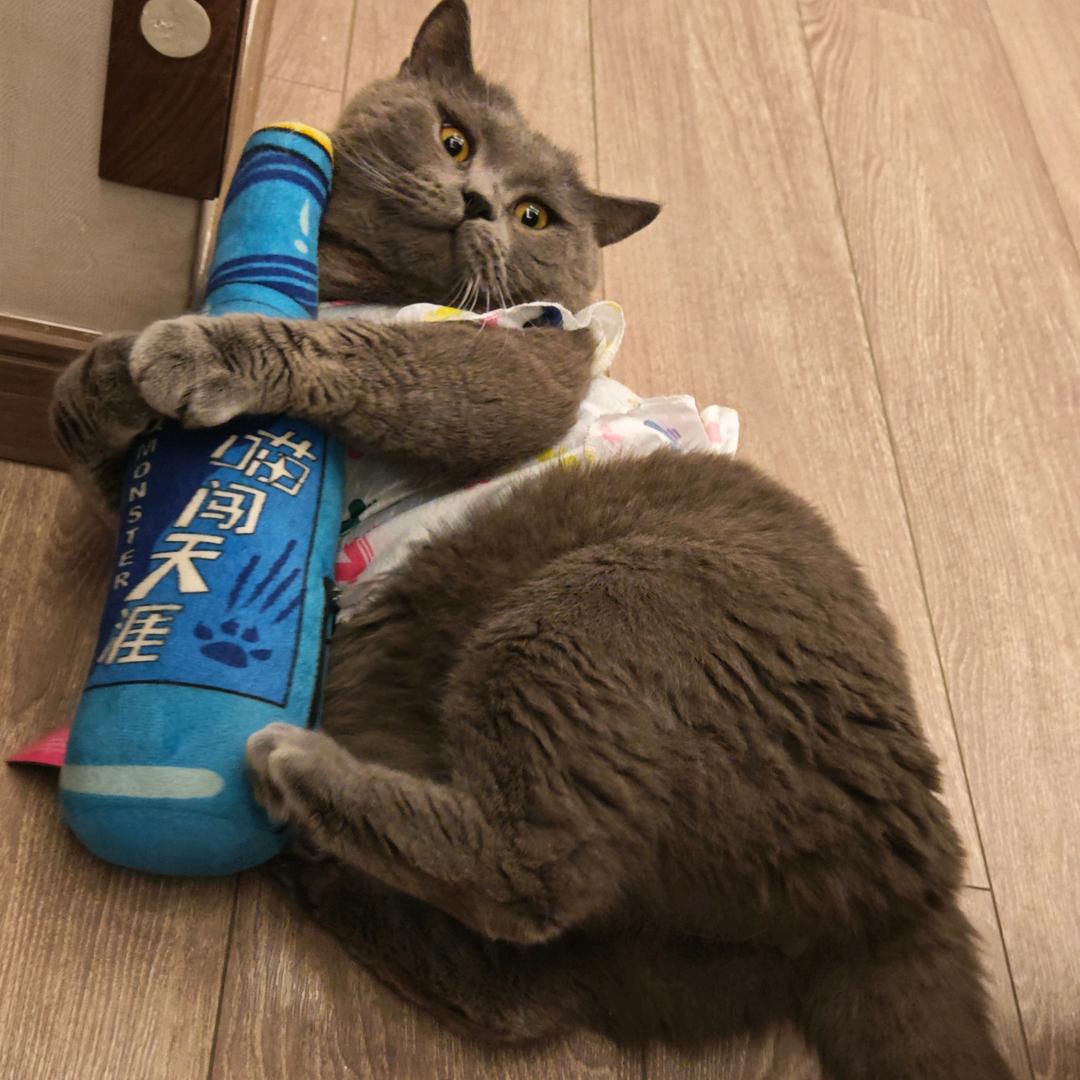 去有风的地方看海