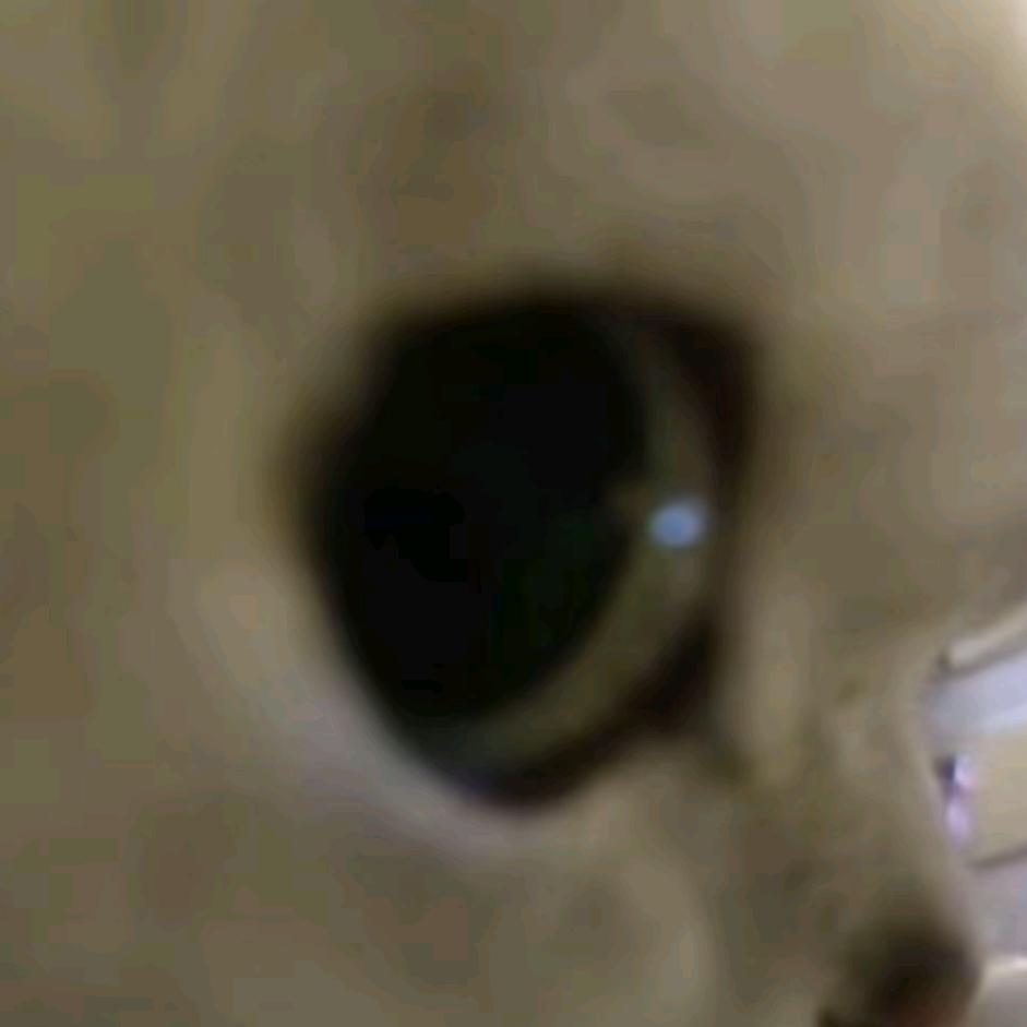 仨五