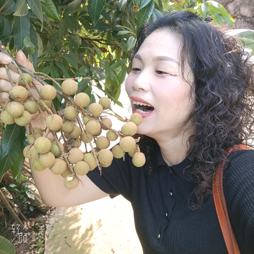 仙人掌🌵