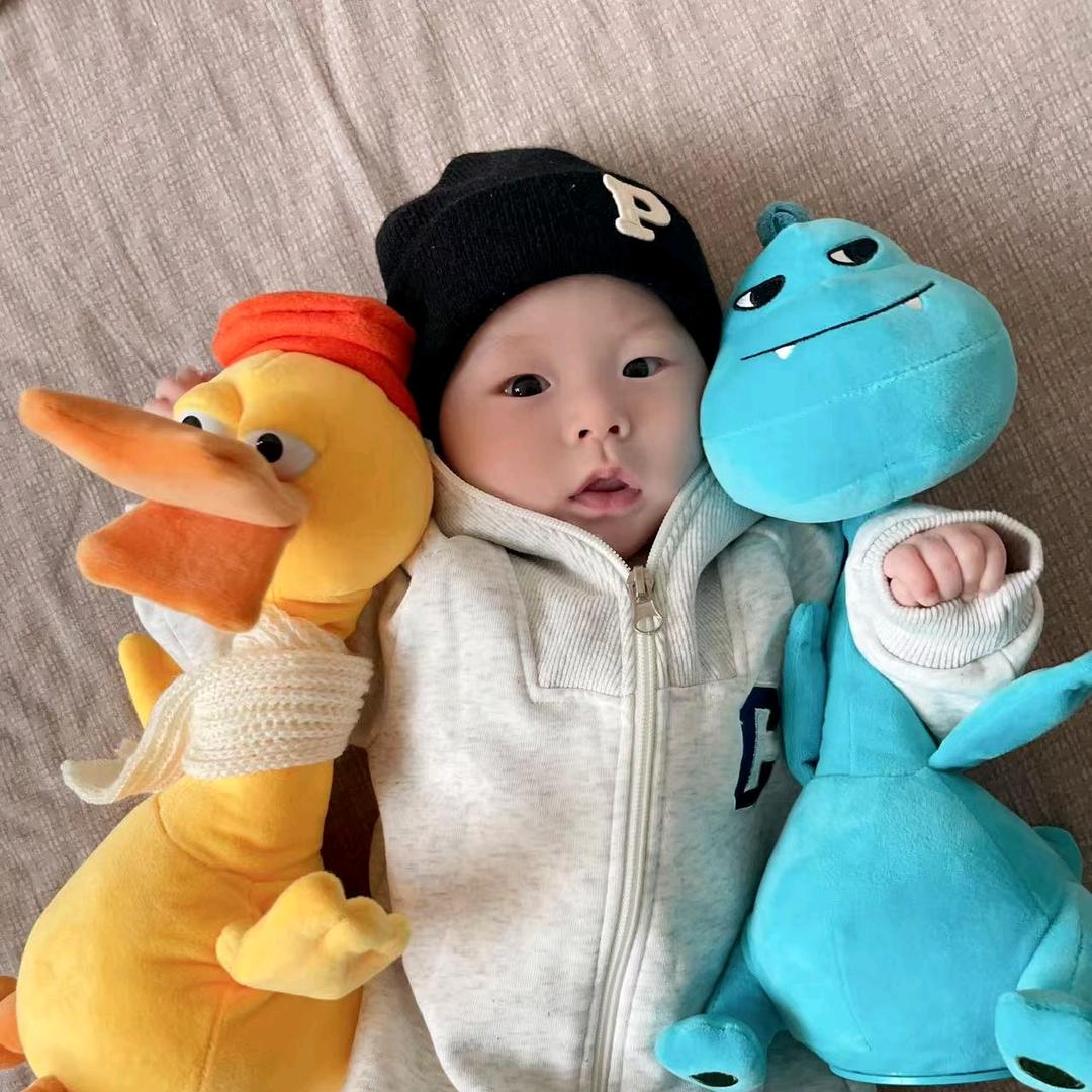 @元气小冬宝（哺乳期）