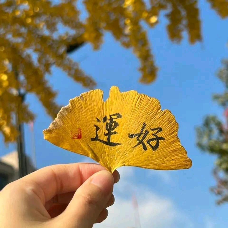 阖家欢乐🌻
