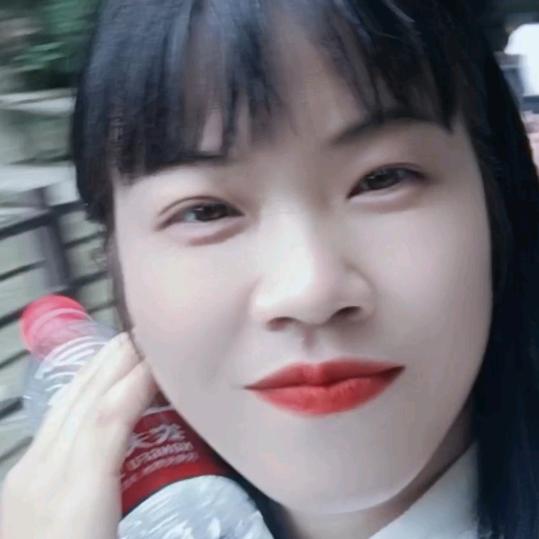 单只蝴蝶。