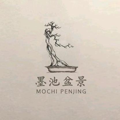 墨池花卉盆景桩园