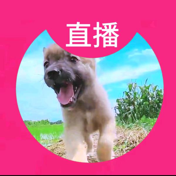 🚡🚡🚡🚡🚡🚡