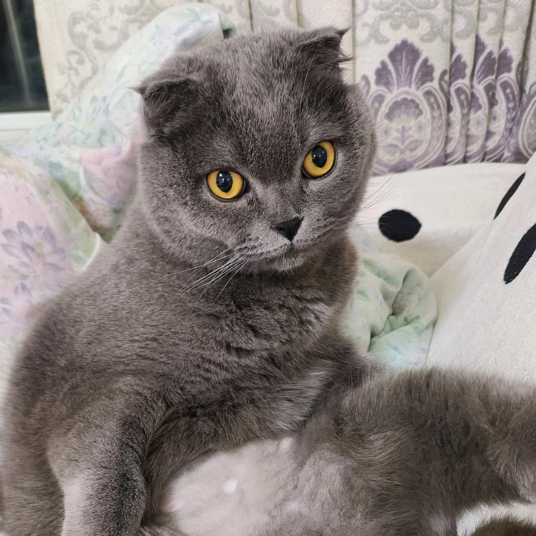 ღ᭄掙💰養🐷🦋꧔ꦿ᭄💞