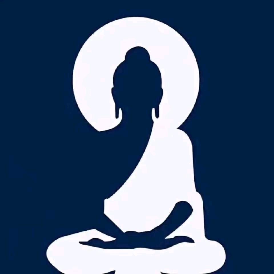 曼巴教授