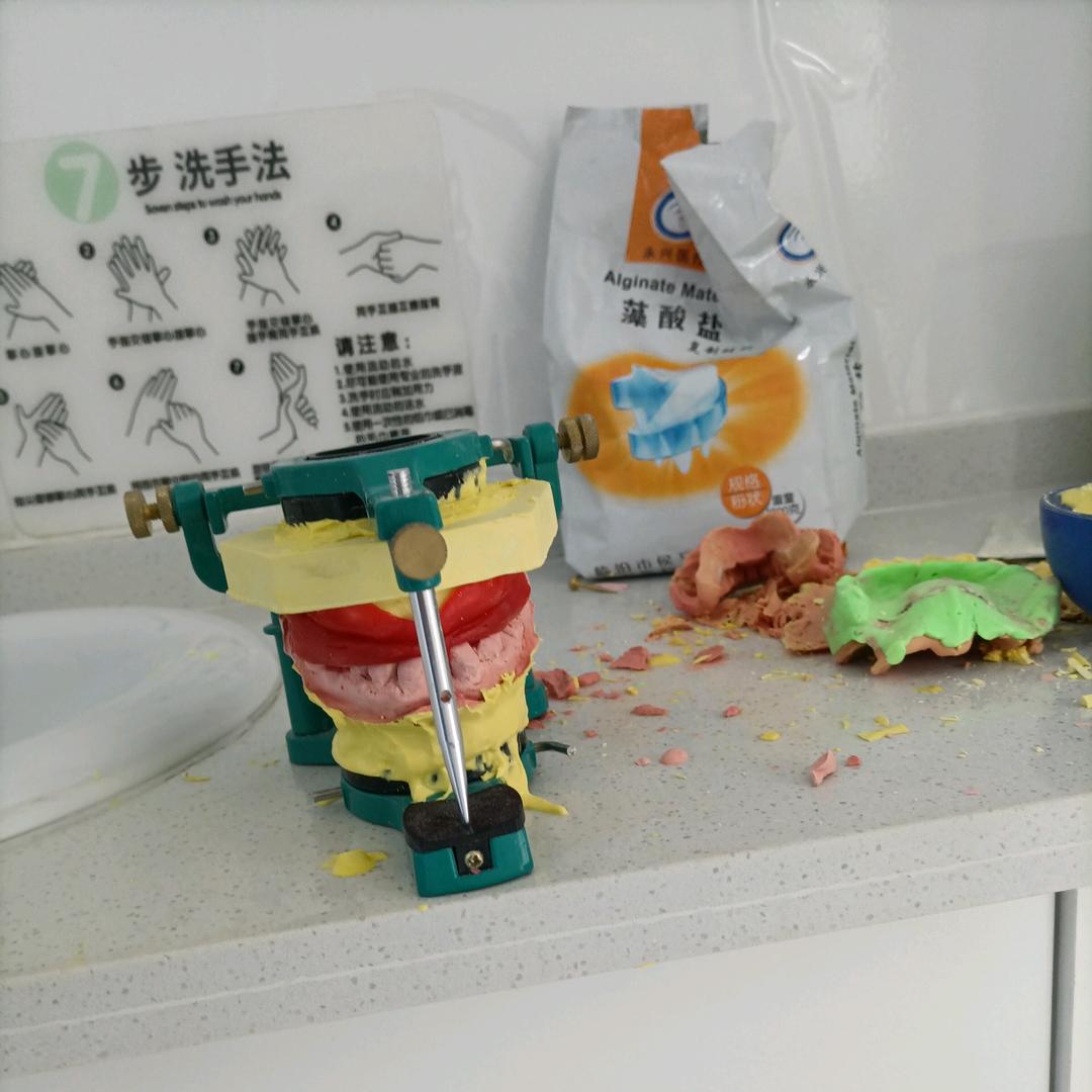 吸附性义齿小叶