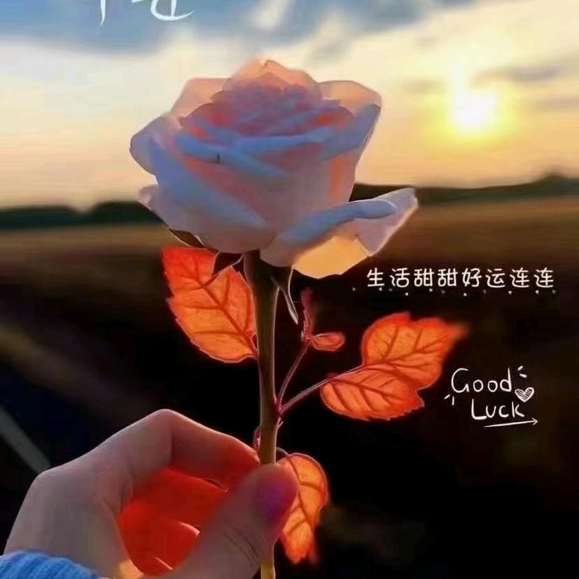 小石头♥