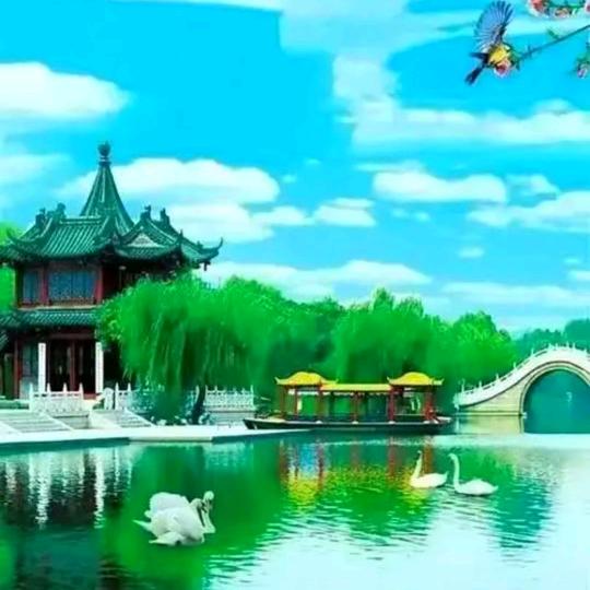 谁的人生都疲惫